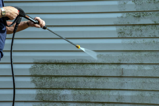 Best Roof Power Washing Services  in Richton Park, IL