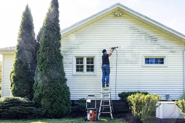 Best Residential Pressure Washing Services  in Richton Park, IL