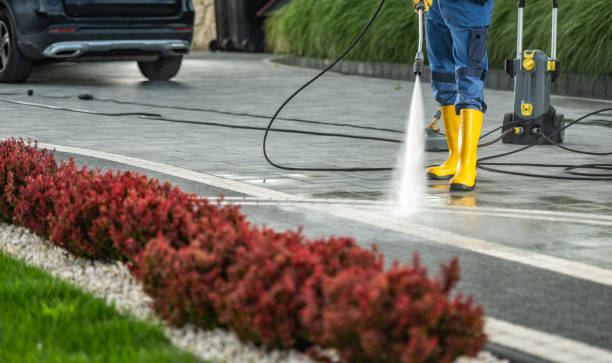 Best Commercial Building Pressure Washing  in Richton Park, IL