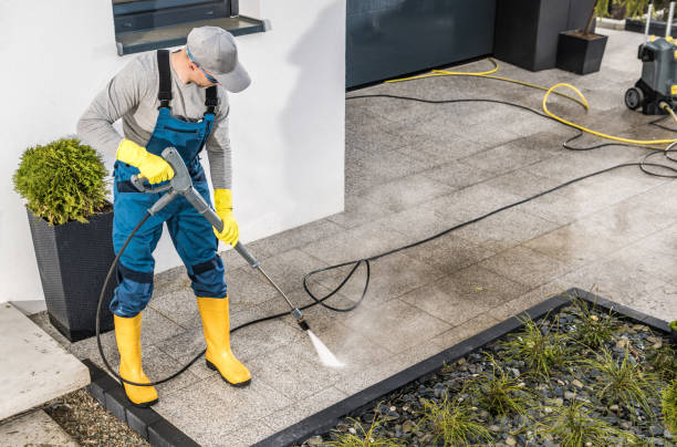 Best Pressure Washing Near Me  in Richton Park, IL